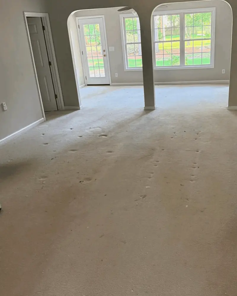 Basement with old carpet before installation